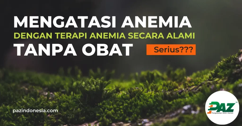 Mengatasi Anemia dengan Terapi Anemia Secara Alami Tanpa Obat Pada Anak dan Remaja